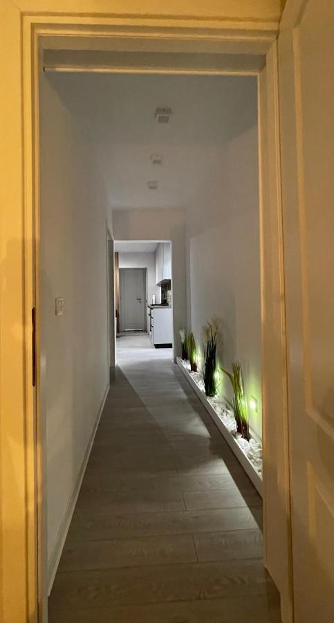 Oxana Apartments - 3 Camere - Timişoara Buitenkant foto