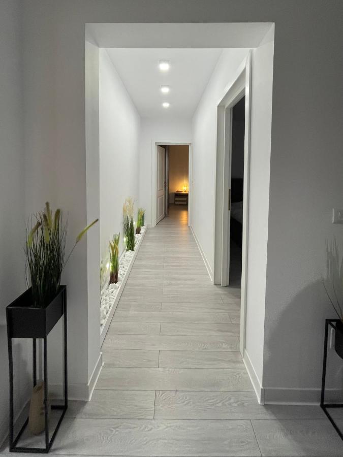 Oxana Apartments - 3 Camere - Timişoara Buitenkant foto