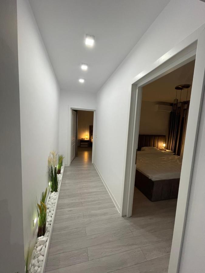 Oxana Apartments - 3 Camere - Timişoara Buitenkant foto
