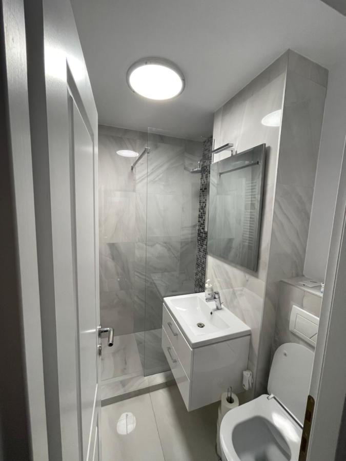 Oxana Apartments - 3 Camere - Timişoara Buitenkant foto