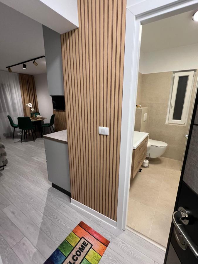 Oxana Apartments - 3 Camere - Timişoara Buitenkant foto
