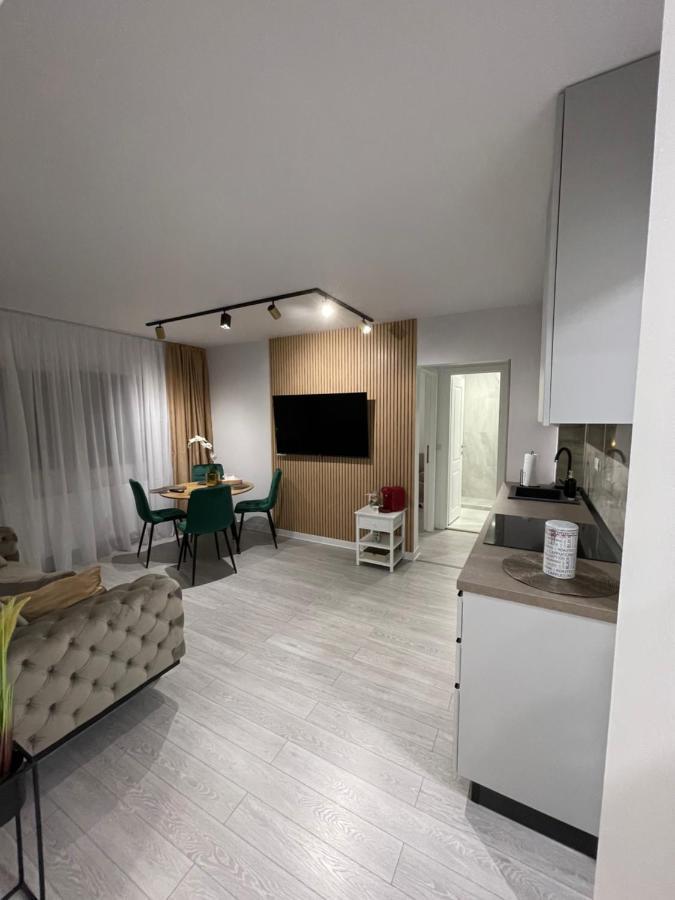 Oxana Apartments - 3 Camere - Timişoara Buitenkant foto