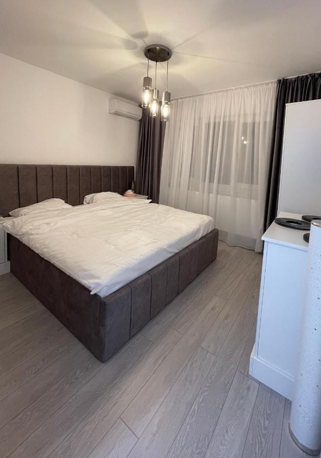 Oxana Apartments - 3 Camere - Timişoara Buitenkant foto