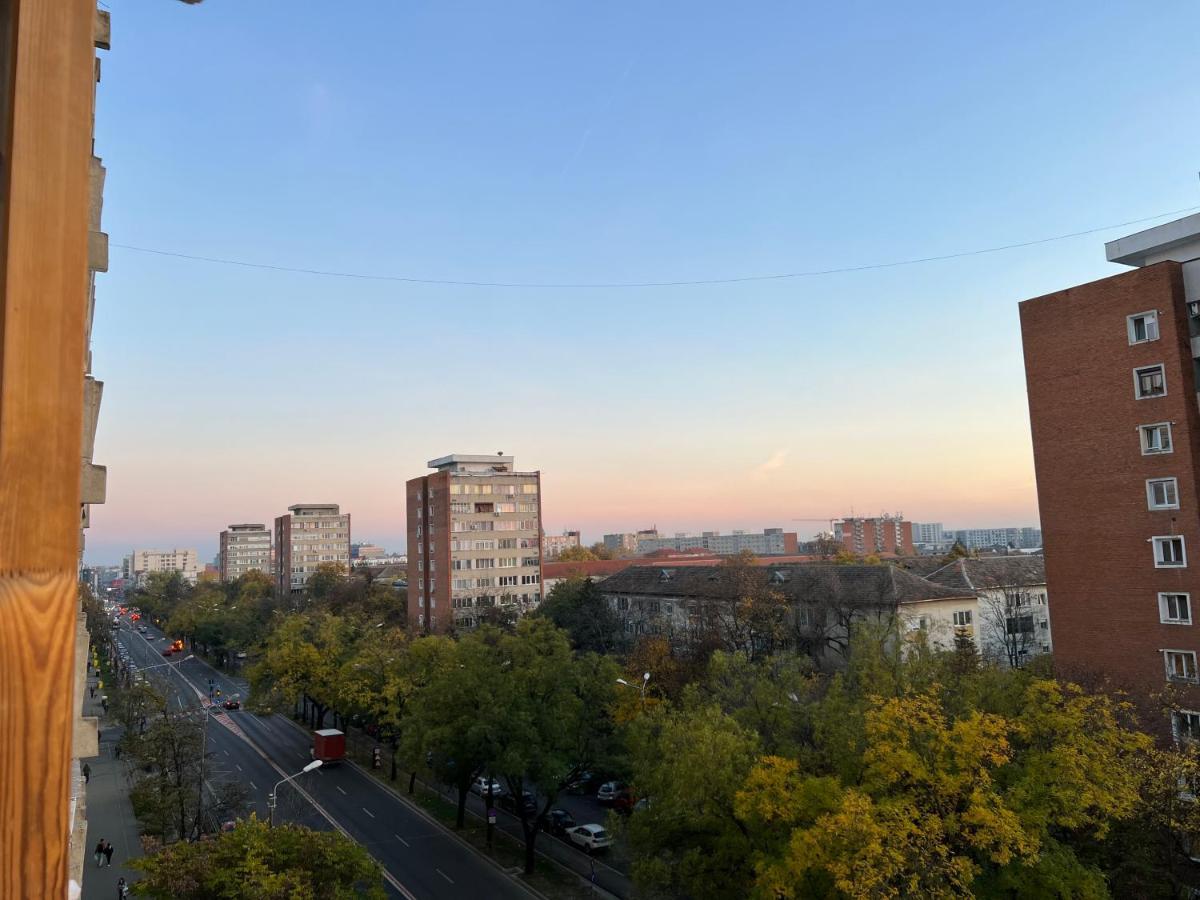 Oxana Apartments - 3 Camere - Timişoara Buitenkant foto