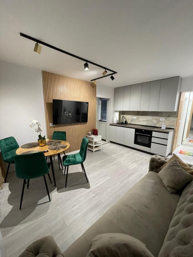 Oxana Apartments - 3 Camere - Timişoara Buitenkant foto