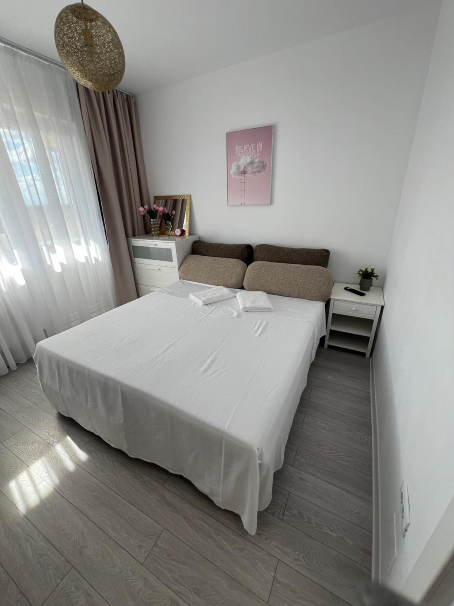 Oxana Apartments - 3 Camere - Timişoara Buitenkant foto