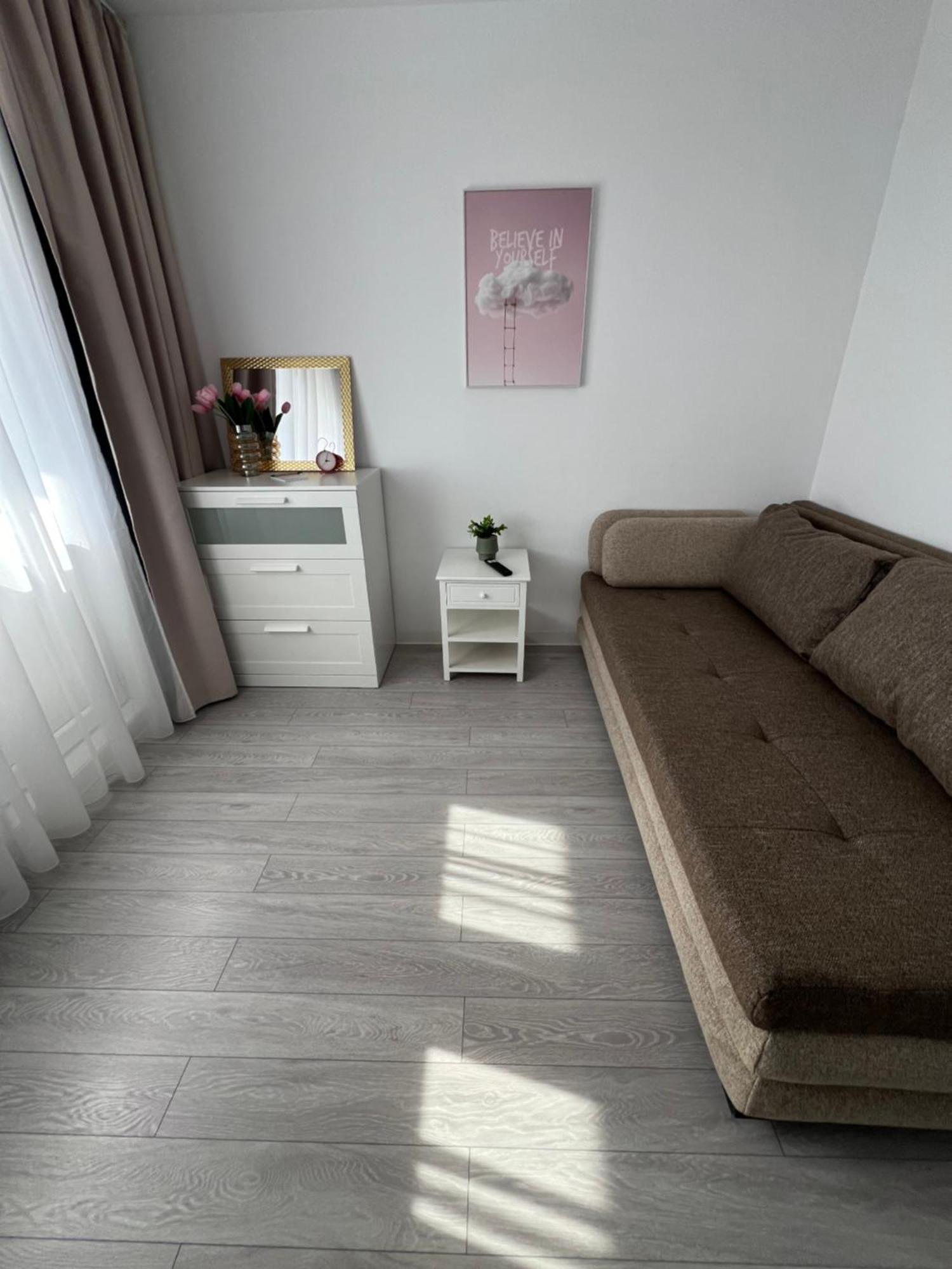 Oxana Apartments - 3 Camere - Timişoara Buitenkant foto