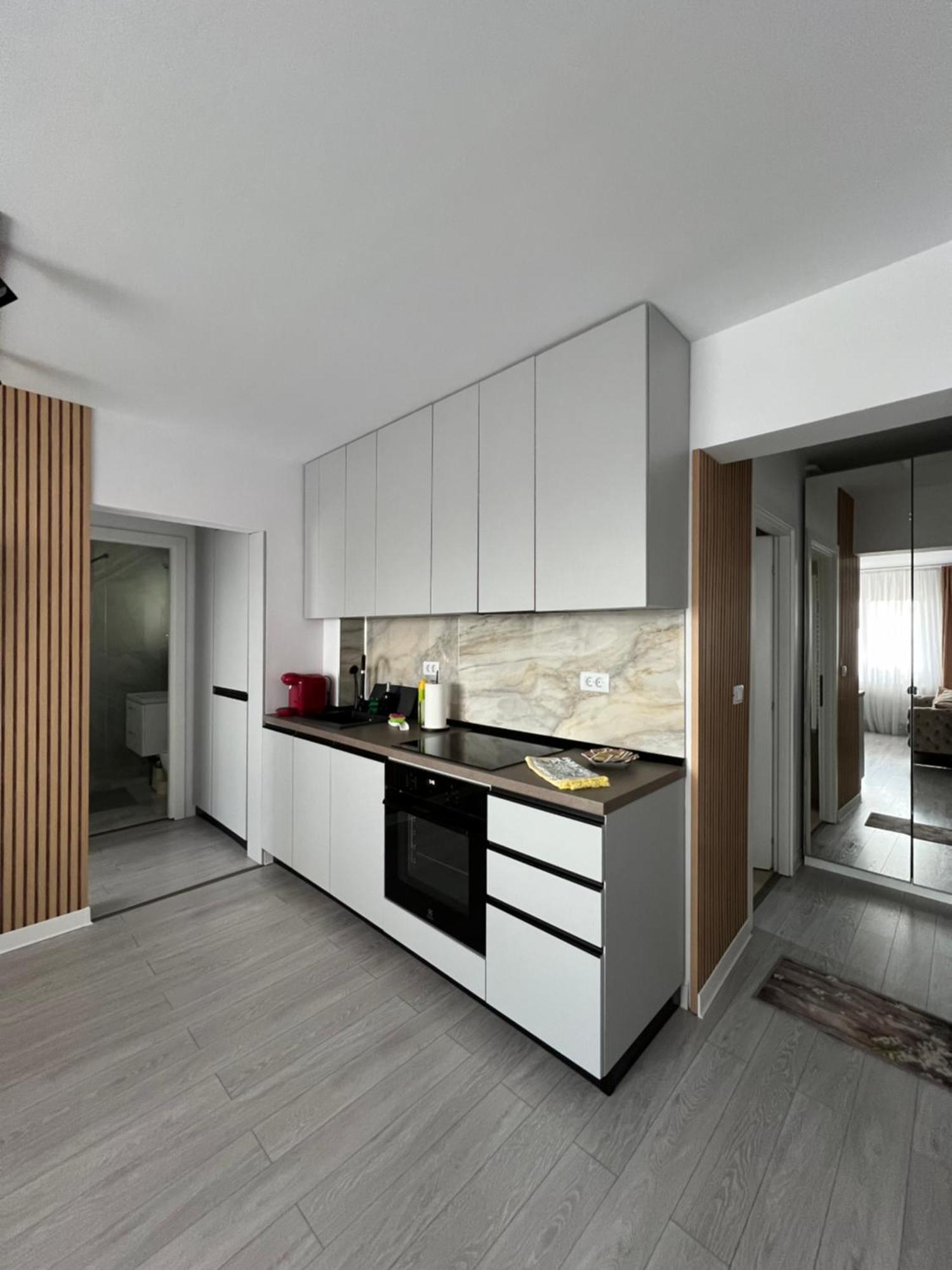 Oxana Apartments - 3 Camere - Timişoara Buitenkant foto