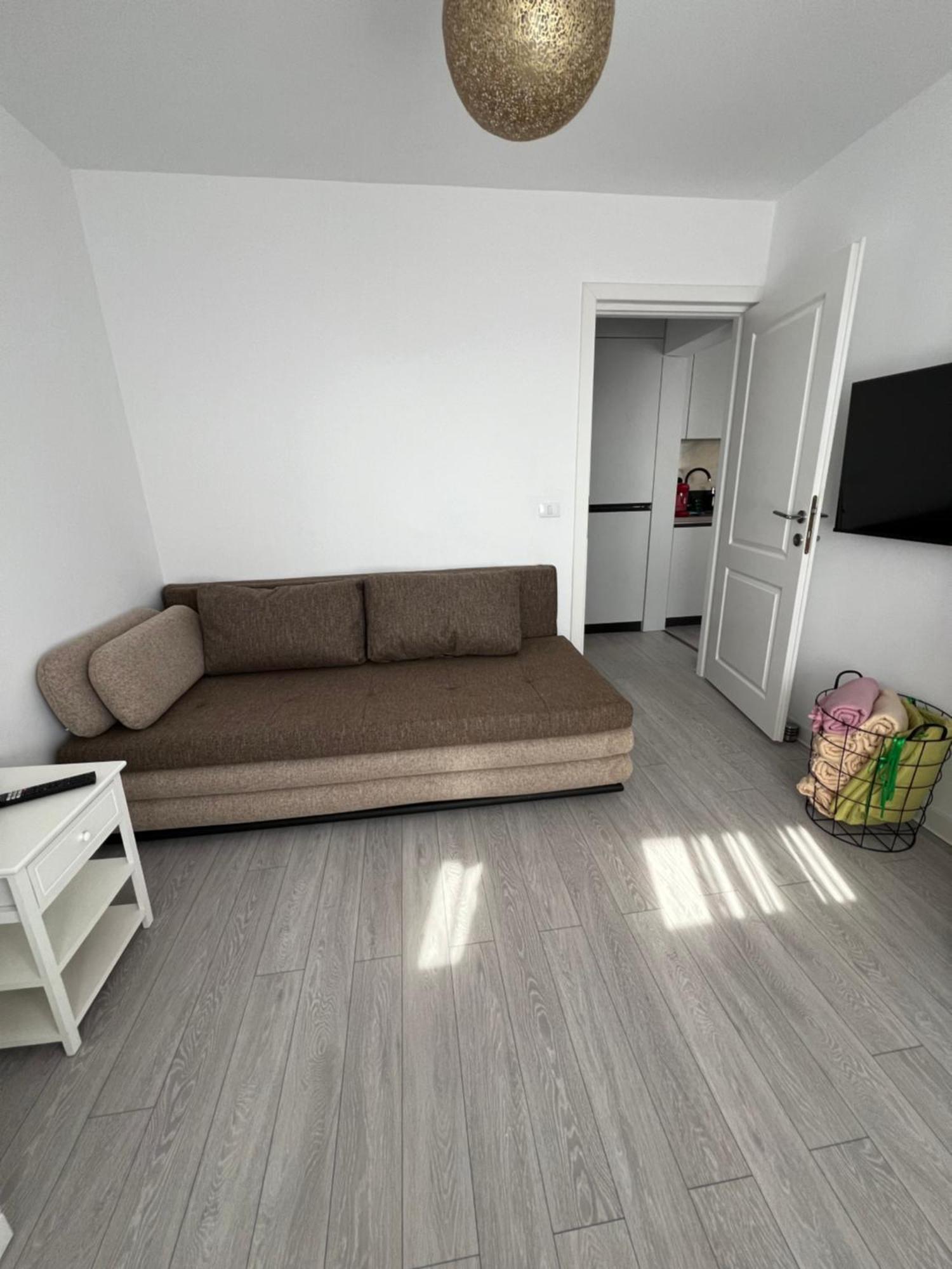 Oxana Apartments - 3 Camere - Timişoara Buitenkant foto
