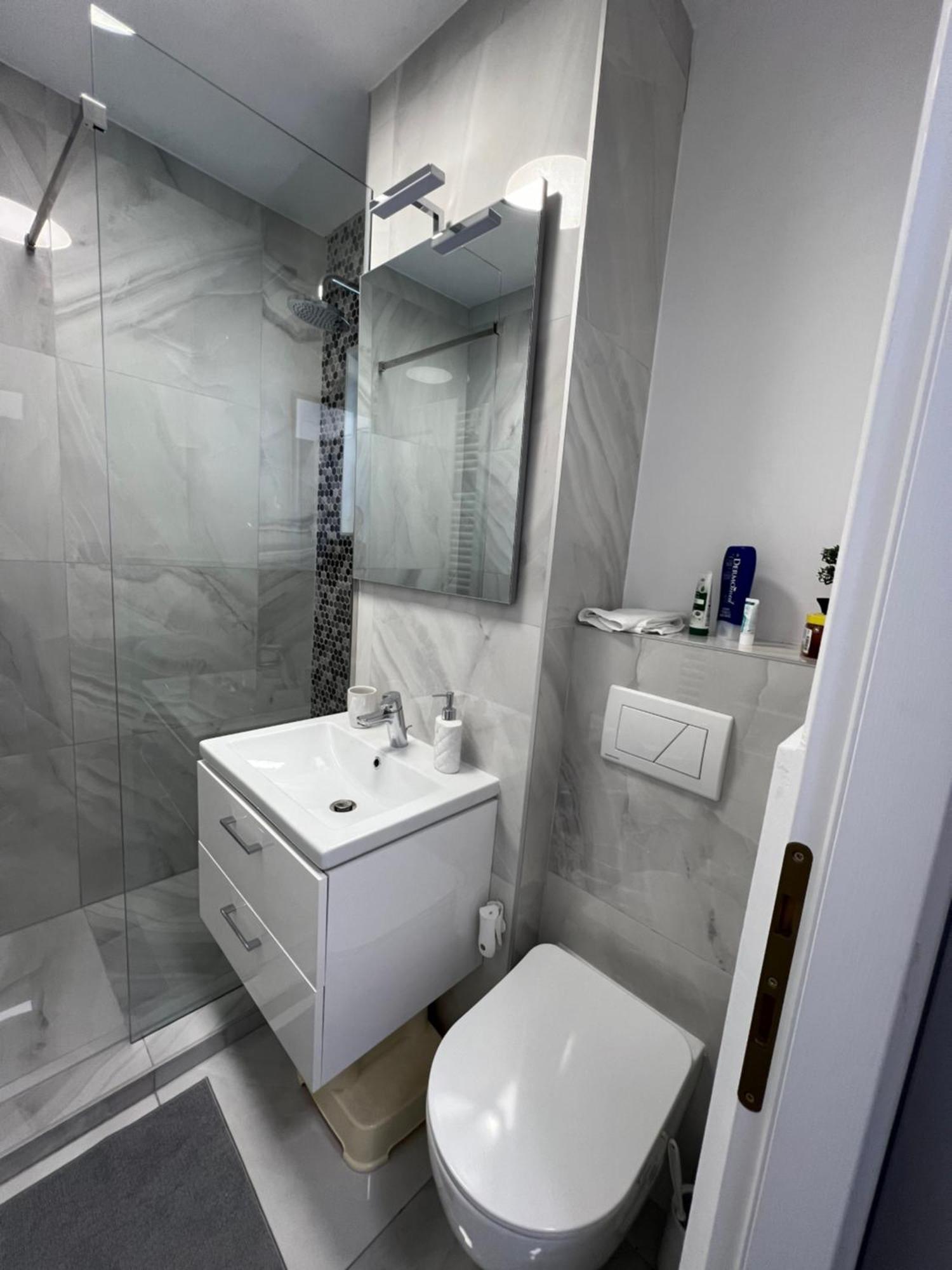 Oxana Apartments - 3 Camere - Timişoara Buitenkant foto